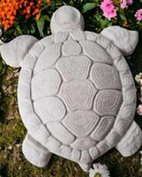 Tortuga Baula